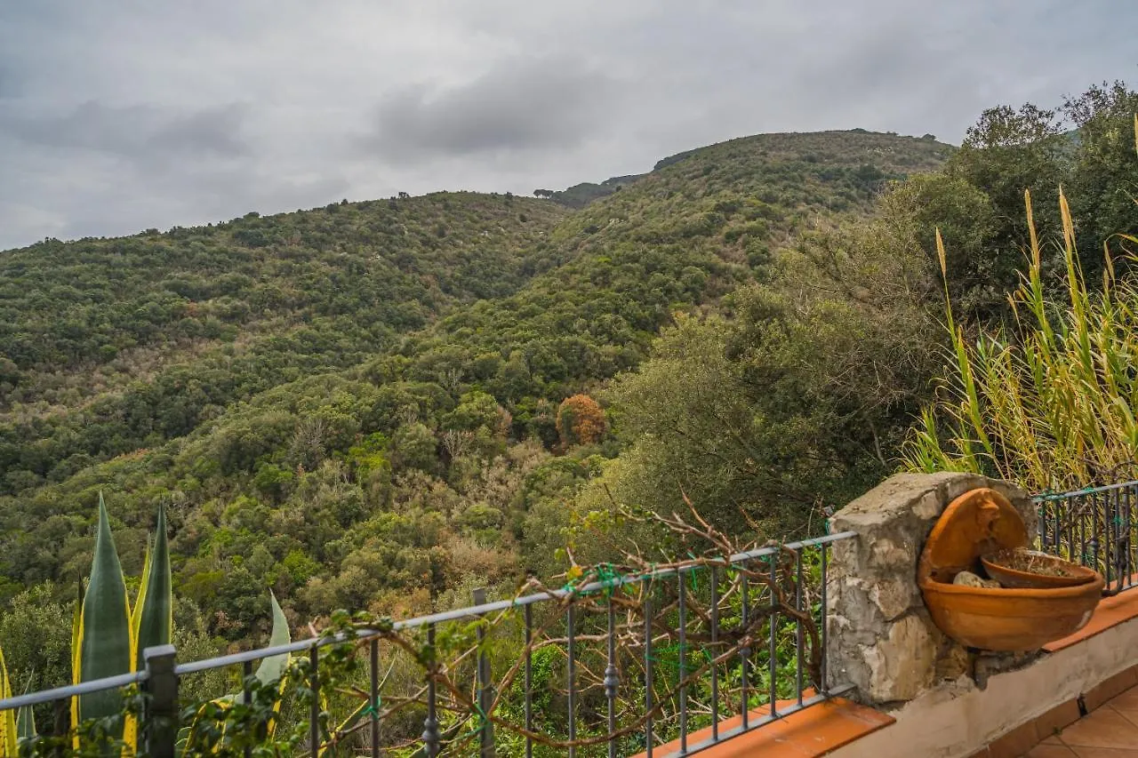 Casa vacanze Appartamenti Straccoligno Capoliveri  Italia
